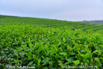 1535077577315652.jpg t01586b2ecb3754d211.jpg